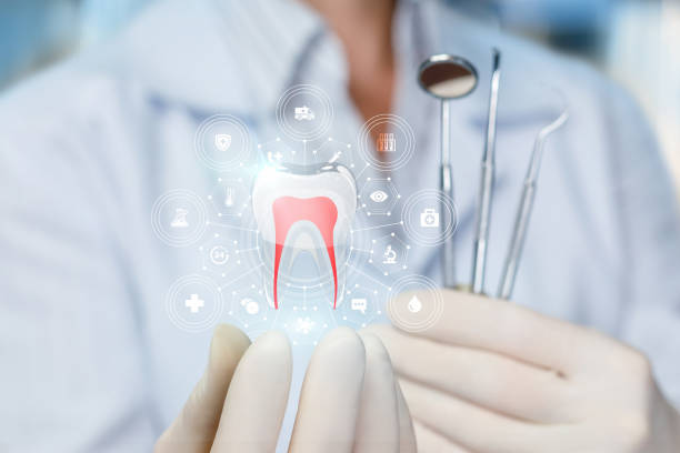 Best Preventive Dentistry  in Mlstadt, IL